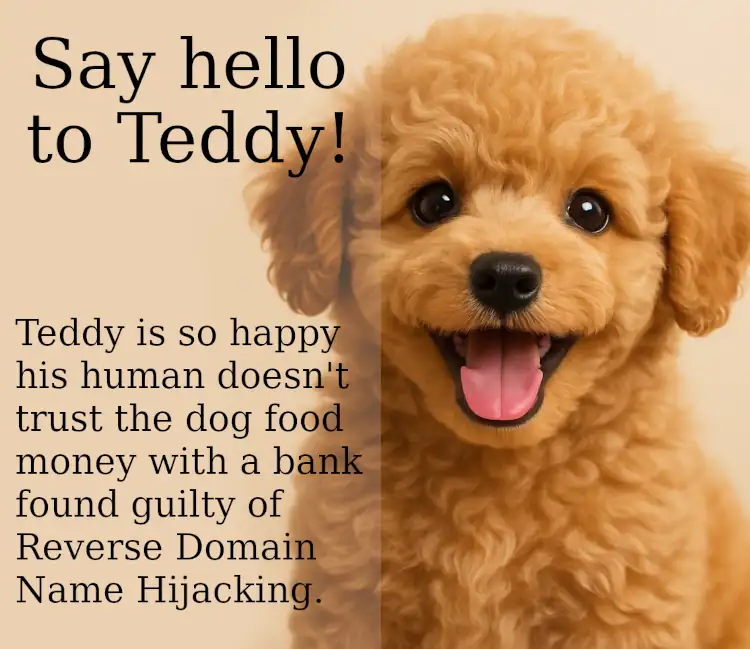 Say hello to Teddy!